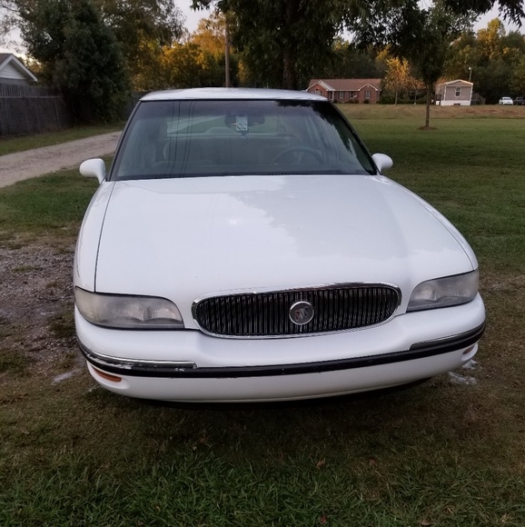 Meet your Posher, Nolan - Picture 1 of 1